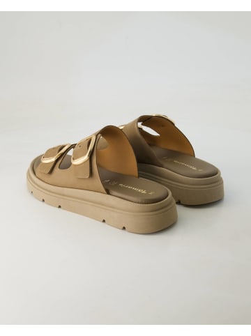 Tamaris Pantoletten in Braun