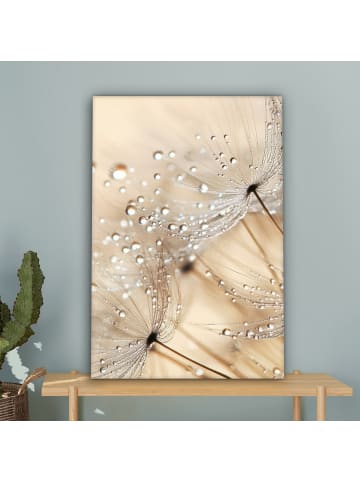 MuchoWow Poster mit Leiste Tropfen  (BxH)