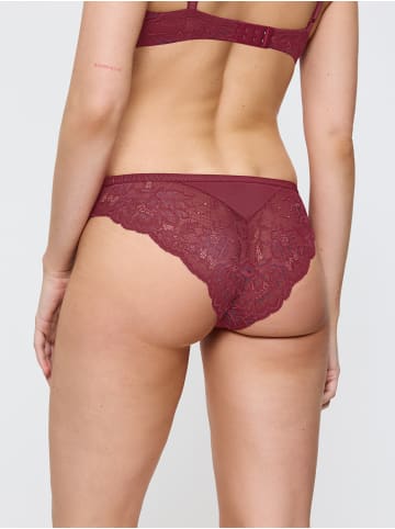 Triumph Brasilslip Amourette Charm Brazilian in SWEET MARSALA
