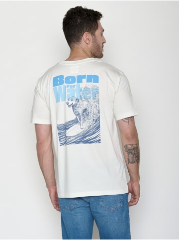 GreenBomb Fusion Dog Surf in Moonstone