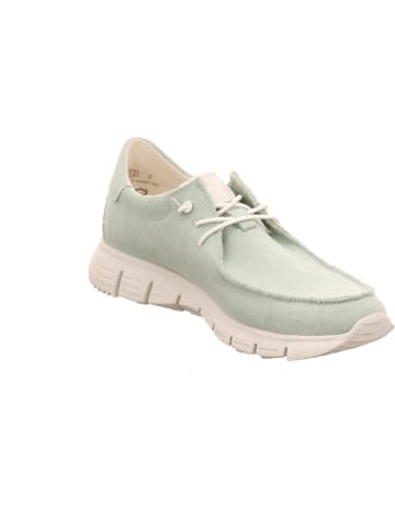 Sioux Sneaker Low in grün