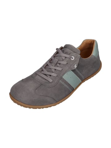 KOEL Sneaker Low ILO SUEDE 3.0 in grau