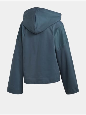 adidas adidas Kapuzenpullover in blue