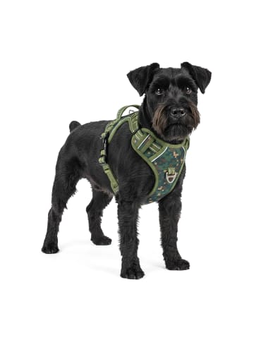 Reichstadt Hundegeschirr S in Camouflage Green