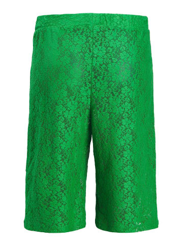 JJXX Shorts in Green Bee