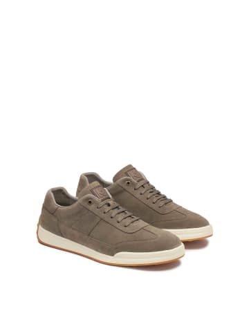 Kazar Sneaker Low in Taupe