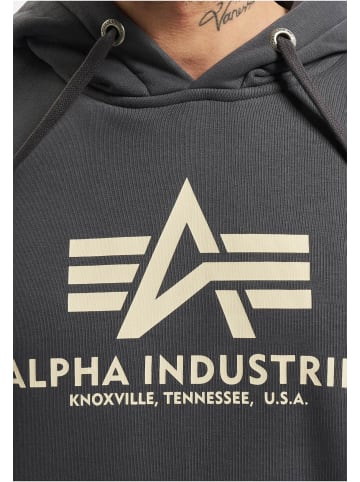 Alpha Industries Alpha Industries Kapuzenpullover in grey
