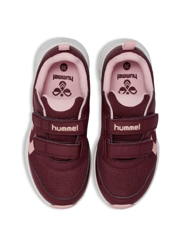 Hummel Klettverschluss Schuhe Turbo Run Lebensstil Kinder in WINDSOR WINE
