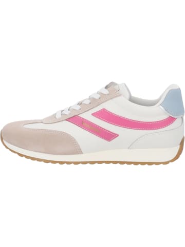 Nero Giardini Schnürschuhe in Weiß