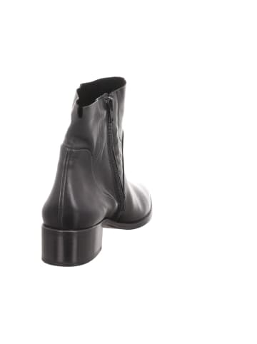 Paul Green Stiefelette in schwarz