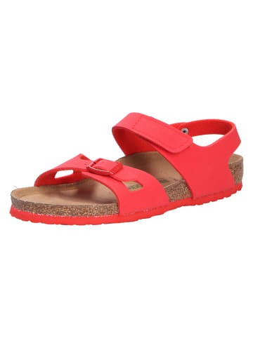 Birkenstock Sandale in rot