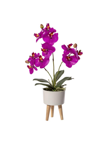 Creativ green Deko-Orchidee in Keramikschale 10x6,5cm, Real Touch