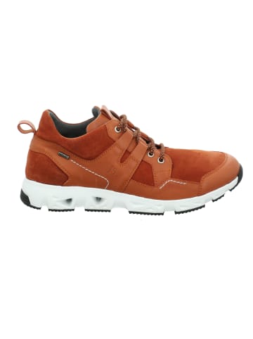 Josef Seibel Sneaker Noah in orange