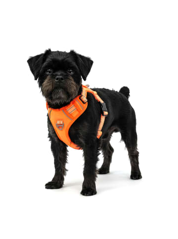 Reichstadt Hundegeschirr S in Orange