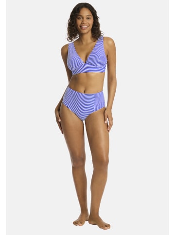 Sea Level Varsity Bikini Oberteil in COBALT