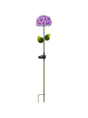 STAR Trading LED Solar Gartenstecker Blume Hortensie in pink - H: 77cm
