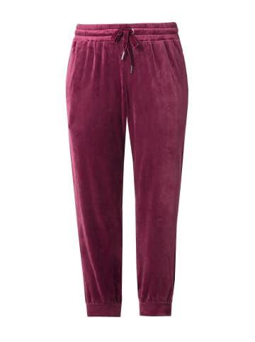 Ulla Popken Loungewear Hose in dunkle beere