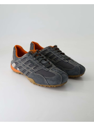 Geox Sneaker low in Grau