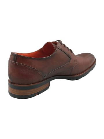 LLOYD Elegante Schnürschuhe in Braun