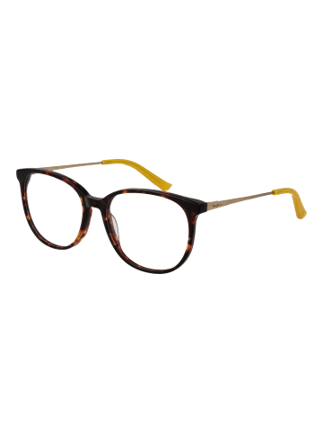 Pepe Jeans Frauen Optische Fassungen Panto Braun
