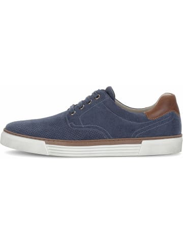 Pius Gabor Sneaker für Herren in blau