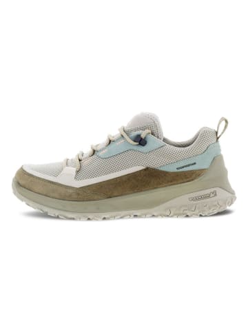 Ecco Sneaker in beige