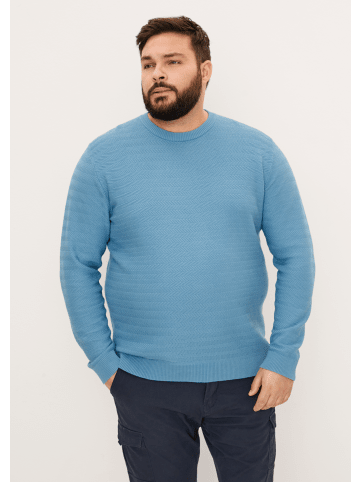 S. Oliver Pullover langarm in Blau