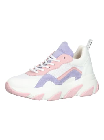 Steve Madden Sneaker in Weiß/Pink