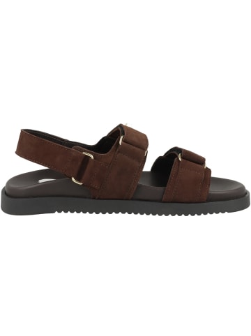 Steve Madden Sandale Mona-E in dunkelbraun