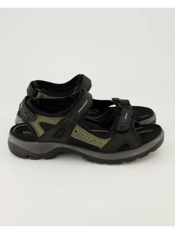 Ecco Sandalen in Schwarz