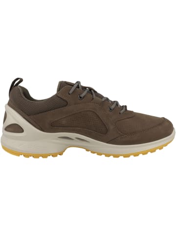 Ecco Sneaker low BIOM Energi in dunkelbraun