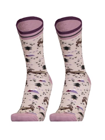 UphillSport Socken 2er-Pack IBEX 2er Pack in Lila