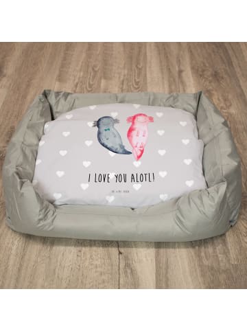 Mr. & Mrs. Panda Katzenkorb Axolotl Liebe mit Spruch in Grau Pastell