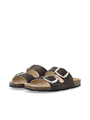 Bianco Pantolette in Brown