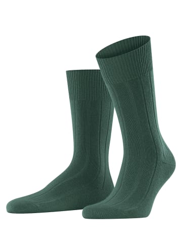 Falke Socken Lhasa Rib in Hunter green