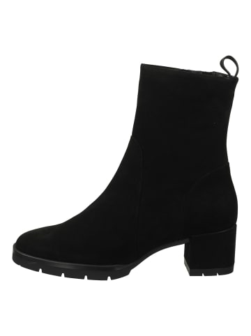 Högl Stiefelette in Schwarz