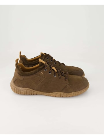 Josef Seibel Sneaker low in Braun