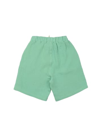 Walkiddy Shorts Raspberries - Shorts