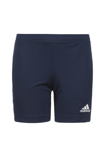 adidas Performance Trainingsshorts Entrada 22 in blau