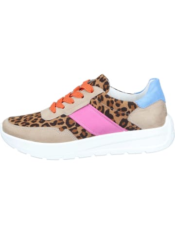 Ara Shoes Sneakers Low in multi