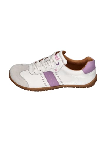 KOEL Sneaker Low ILA NAPA SUEDE 3.0 in lila