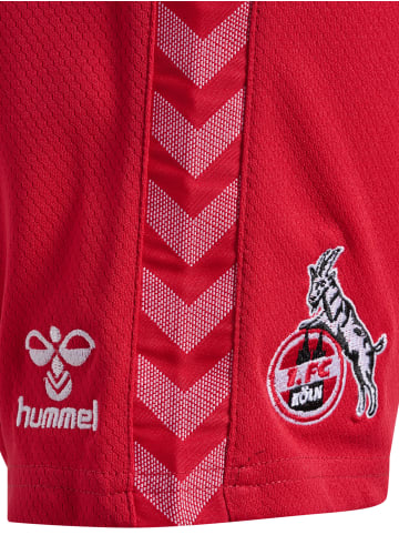 Hummel Hummel Kurze Hose 1Fck 23/24 Fußball Unisex Kinder Atmungsaktiv Feuchtigkeitsabsorbierenden in TRUE RED