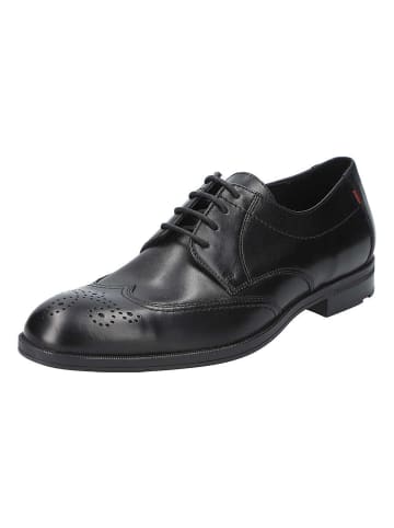 LLOYD Schnürschuhe Farley in BLACK