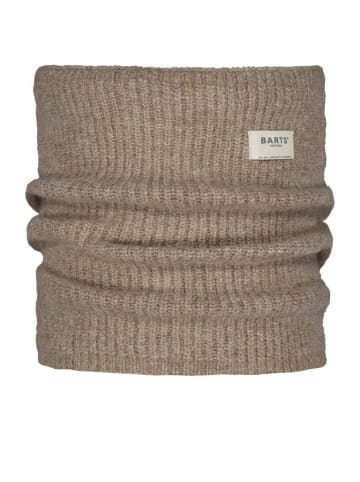 Barts Schal & Tuch für Damen in braun