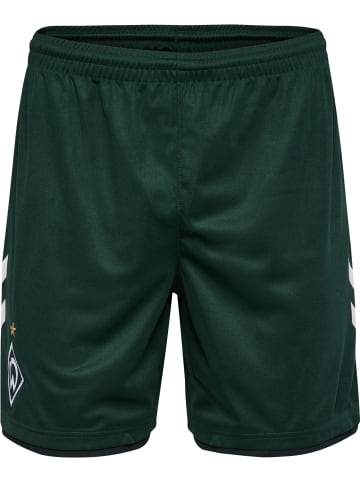 Hummel Hummel Kurze Hose Wer 23/24 Fußball Unisex Erwachsene Feuchtigkeitsabsorbierenden