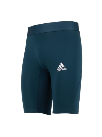 adidas Hose Alphaskin Tights in Grün