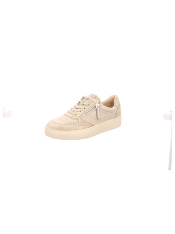 Paul Green Sneaker für Damen in creme