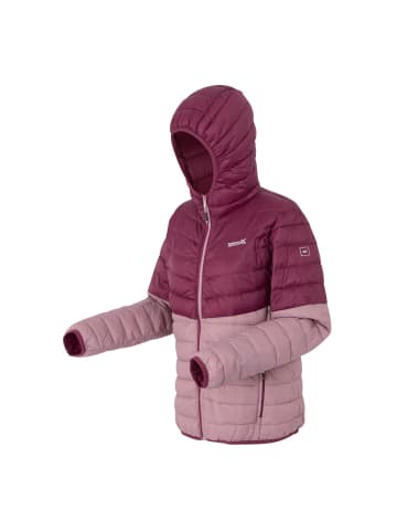 Regatta Hillpack IV Übergangsjacke mit Kapuze in Dunkelrot