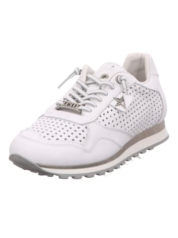 Cetti Sneaker Low in weiß