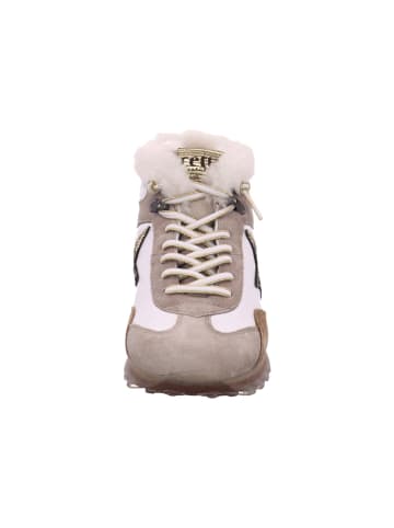 Cetti Damenschnürrstiefel warm flach  in  Mehrfarbig